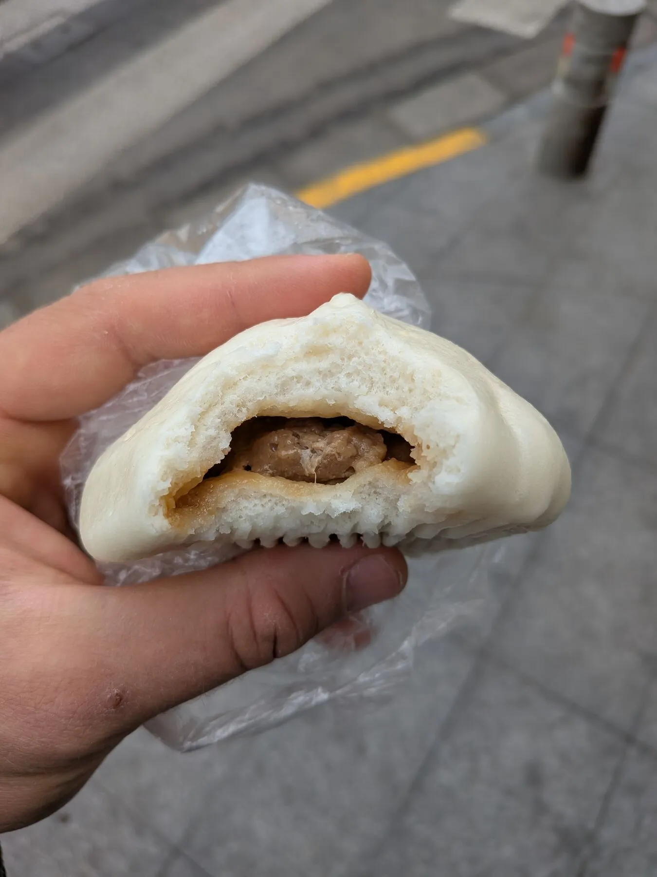 The pork filled bun