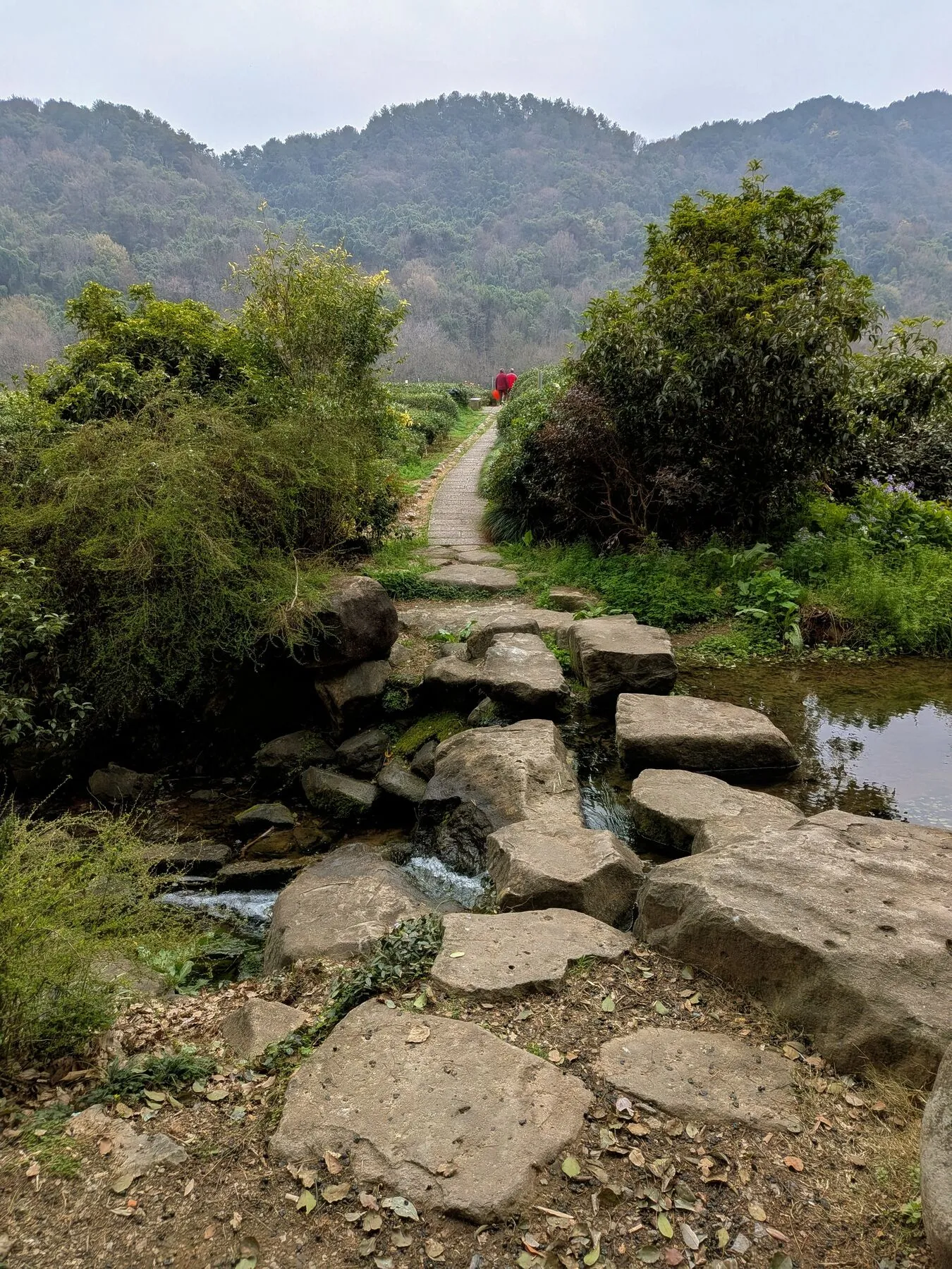 On the road to Longjingcun